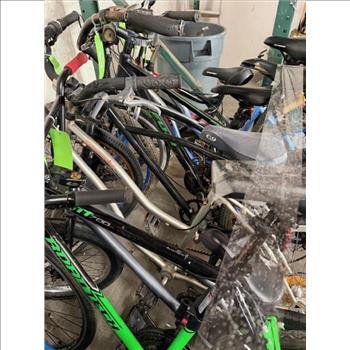 Group Of 12 Used Bikes