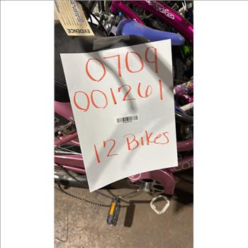Group Of 12 Used Bikes