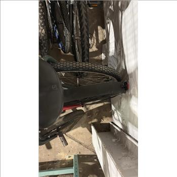 Group Of 12 Used Bikes