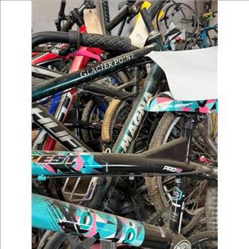 Group Of 12 Used Bikes