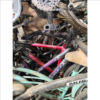 Group Of 12 Used Bikes