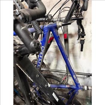 Group Of 12+ Used Bikes