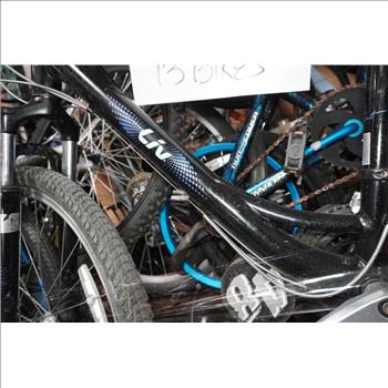 Group Of 13 Used Bikes