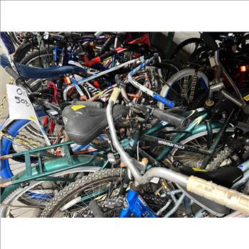 Group Of 13 Used Bikes
