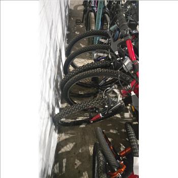 Group Of 13 Used Bikes