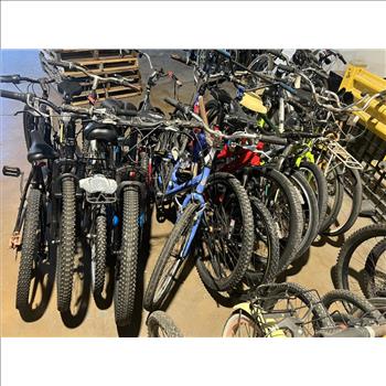Group Of 14 Used Bikes
