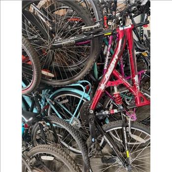 Group Of 14 Used Bikes