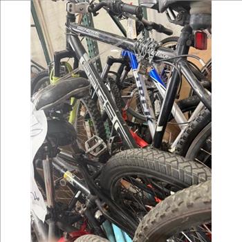Group Of 14 Used Bikes