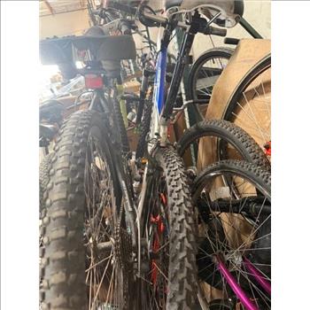 Group Of 14 Used Bikes