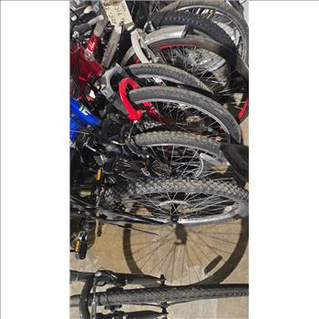 Group Of 14 Used Bikes