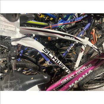 Group Of 19 Used Bikes