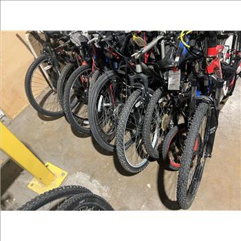 Group Of 19 Used Bikes
