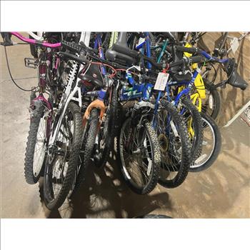 Group Of 19 Used Bikes