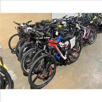 Group Of 19 Used Bikes