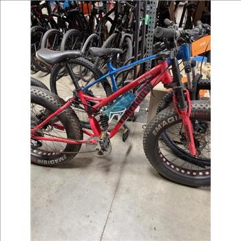 Group Of 2 Used Bikes