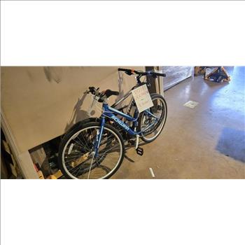 Group Of 2 Used Bikes