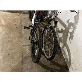 Group Of 2 Used Bikes