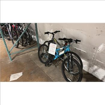 Group Of 2 Used Bikes