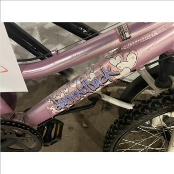 Group Of 2 Used Bikes