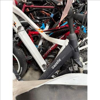 Group Of 20+ Used Bikes