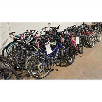Group Of 21 Used Bikes