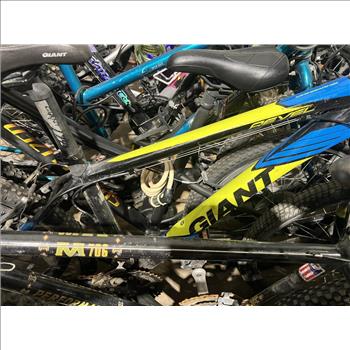 Group Of 23 Used Bikes