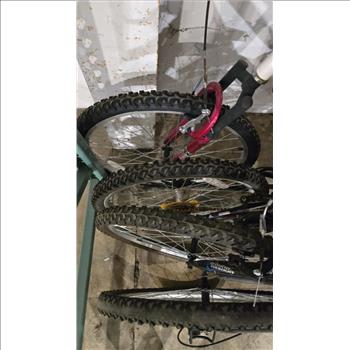 Group Of 4 Used Bikes