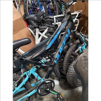 Group Of 4 Used Bikes