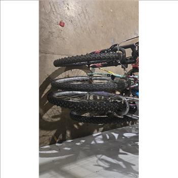 Group Of 4 Used Bikes