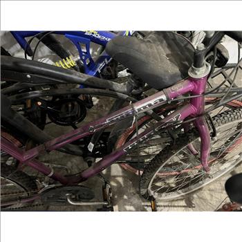 Group Of 5 Used Bikes