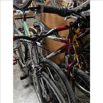 Group Of 6 Used Bikes