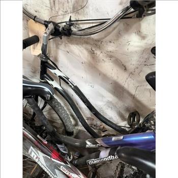 Group Of 6 Used Bikes