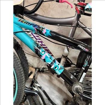 Group Of 6 Used Bikes