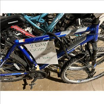 Group Of 7 Used Bikes