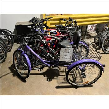 Group Of 7 Used Bikes