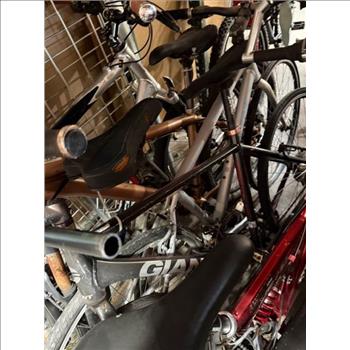 Group Of 8 Used Bikes