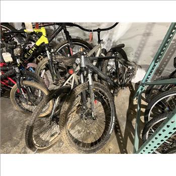 Group Of 8 Used Bikes