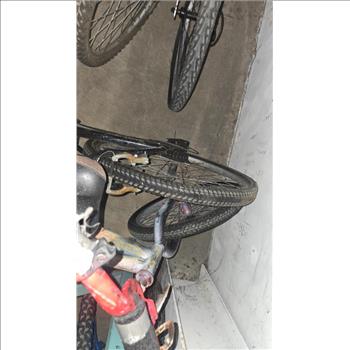 Group Of 8 Used Bikes