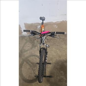 GT Mountain Bike