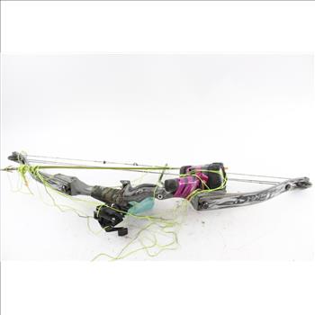 Hoyt Legacy Compound Bow