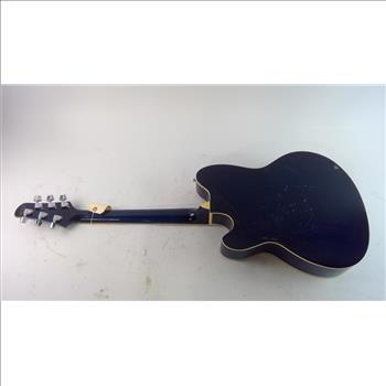 Ibanez Acoustic Guitar