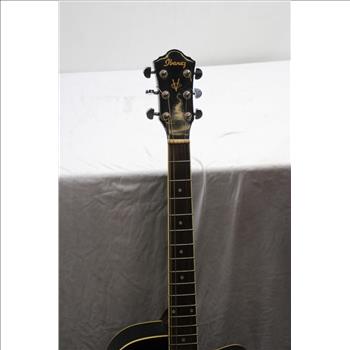 Ibanez Acoustic Guitar