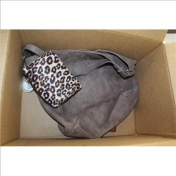 Igloo Lunch Box And Other Bags, 5+ Pieces