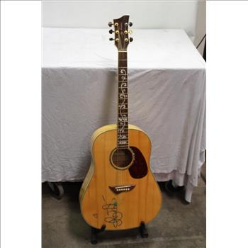 Jay Turser,  Acoustic Guitar