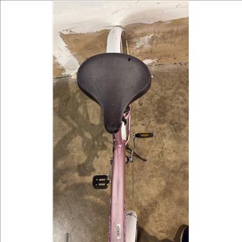 Kent Beach Bike