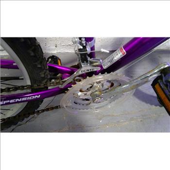 Kent Terra 2.4 Mountain Bike