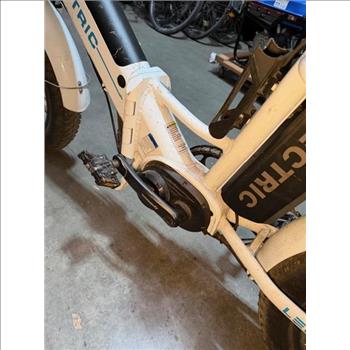Lectric E-Bike