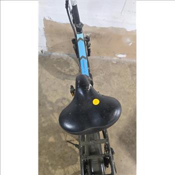Lectric E-Bike