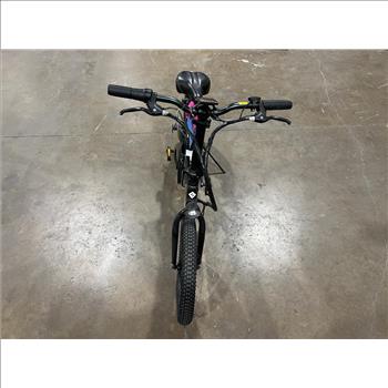 Lectric E-Bike