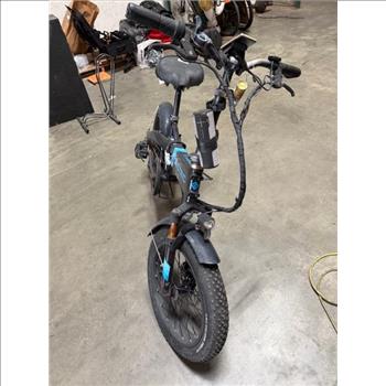 Lectric EXPerience E-Bike